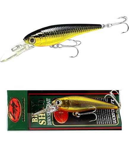 ベビーシャッド　他18点セット　Lakersoao Amazon | ラッキークラフト (LUCKY CRAFT) ベビーシャッド 60SP Mk-II